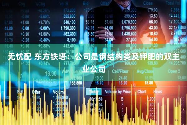 无忧配 东方铁塔：公司是钢结构类及钾肥的双主业公司