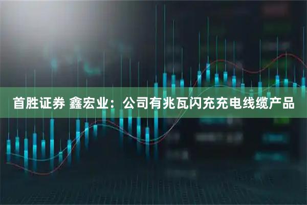 首胜证券 鑫宏业：公司有兆瓦闪充充电线缆产品