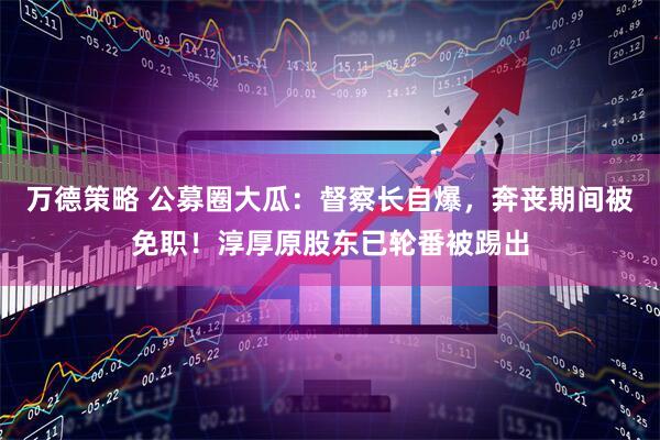 万德策略 公募圈大瓜:督察长自爆,奔丧期间被免职!淳厚原股东已轮番被踢出